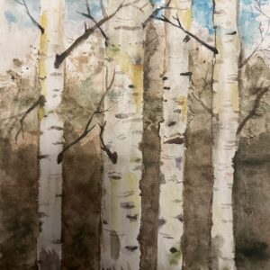 Birch forect