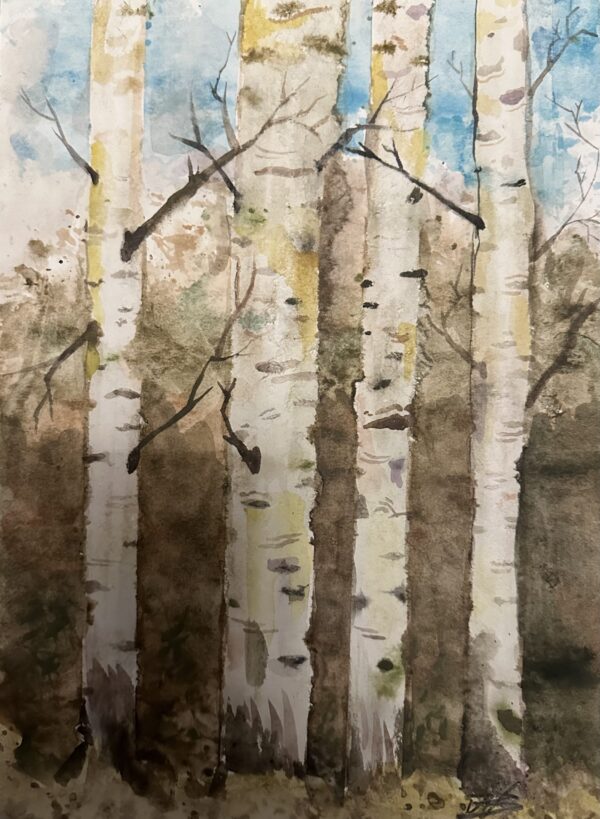 Birch forect
