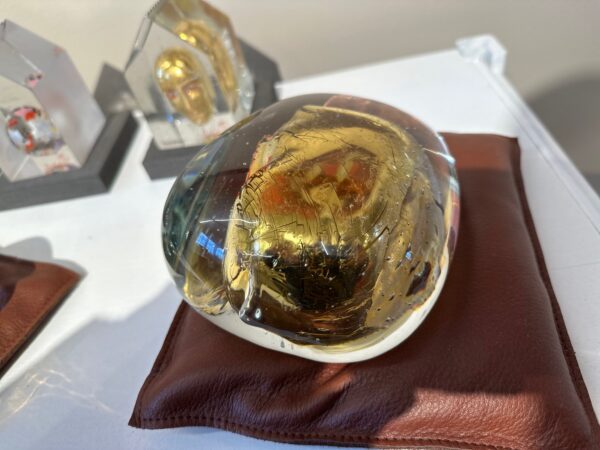 Annual Brains - Bild 2